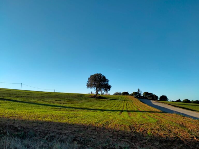 1 Cap i casal Paisatge d'Osona