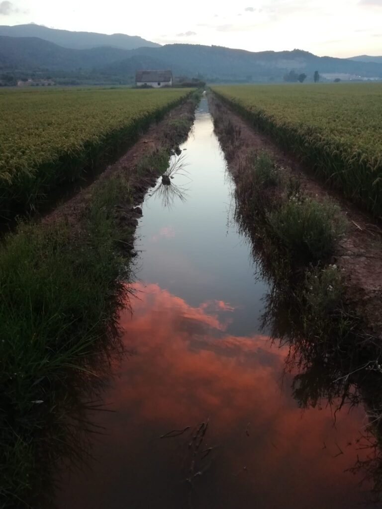 x canal ebre