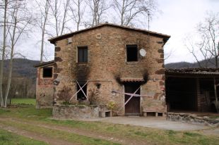 1. Actiu avui